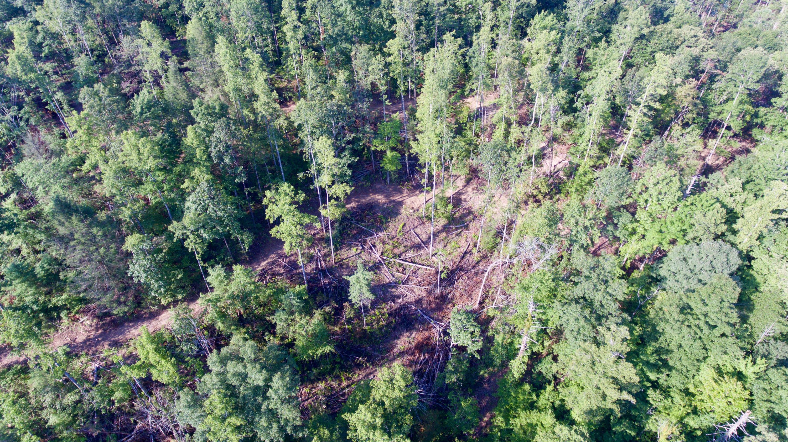 Adams Hill Deer Lodge, TN 37726 - Photo 29 of 40 DJI_0003