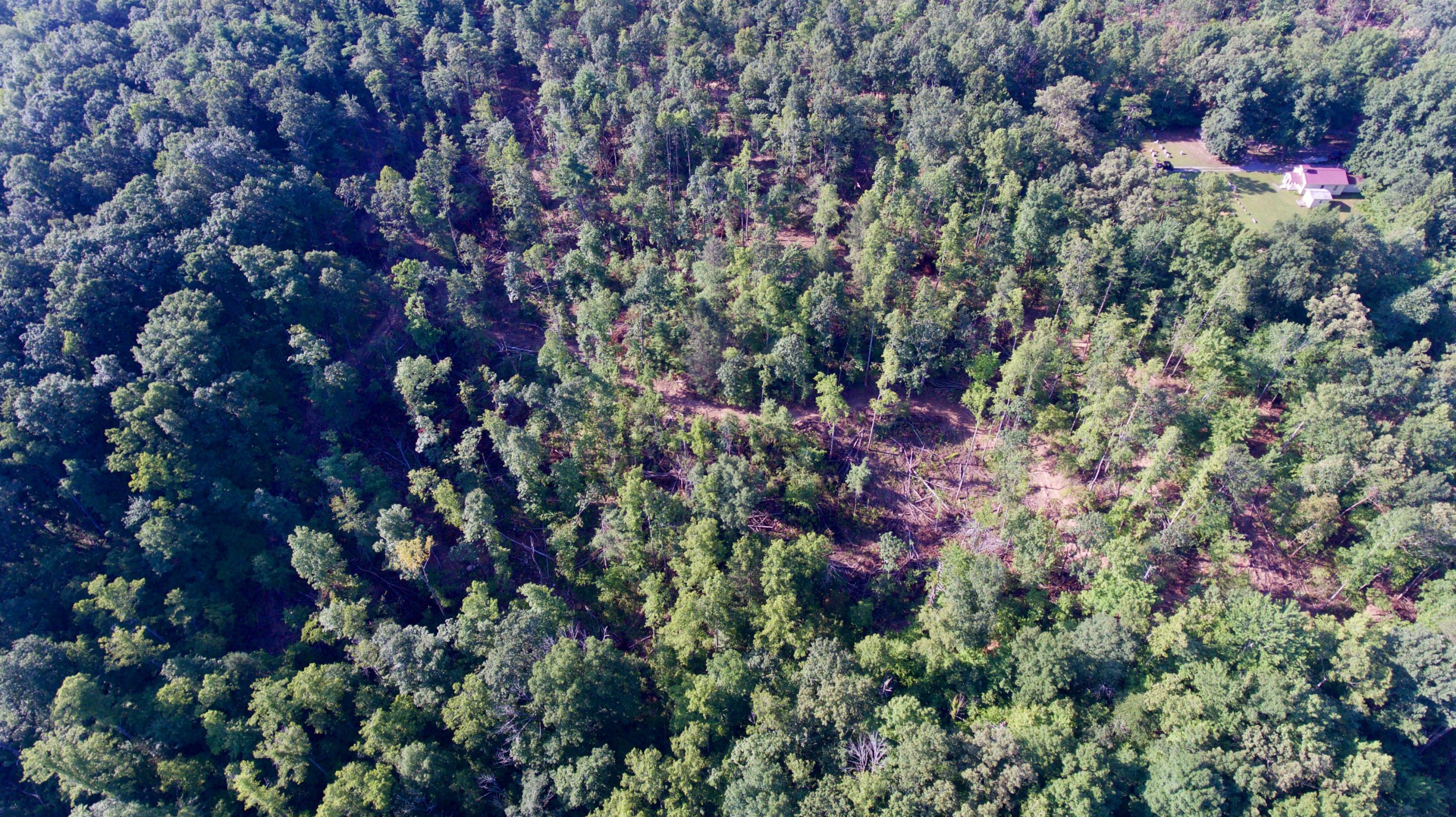 Adams Hill Deer Lodge, TN 37726 - Photo 30 of 40 DJI_0009