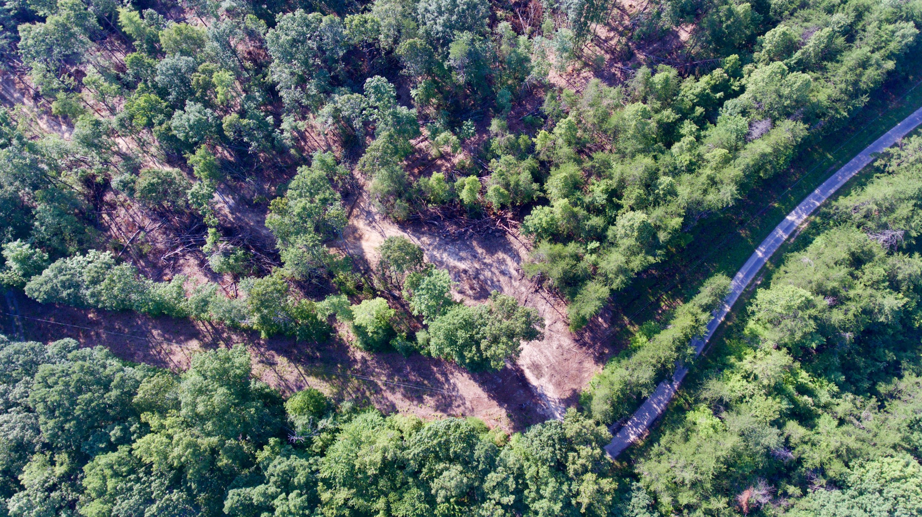 Adams Hill Deer Lodge, TN 37726 - Photo 31 of 40 DJI_0012