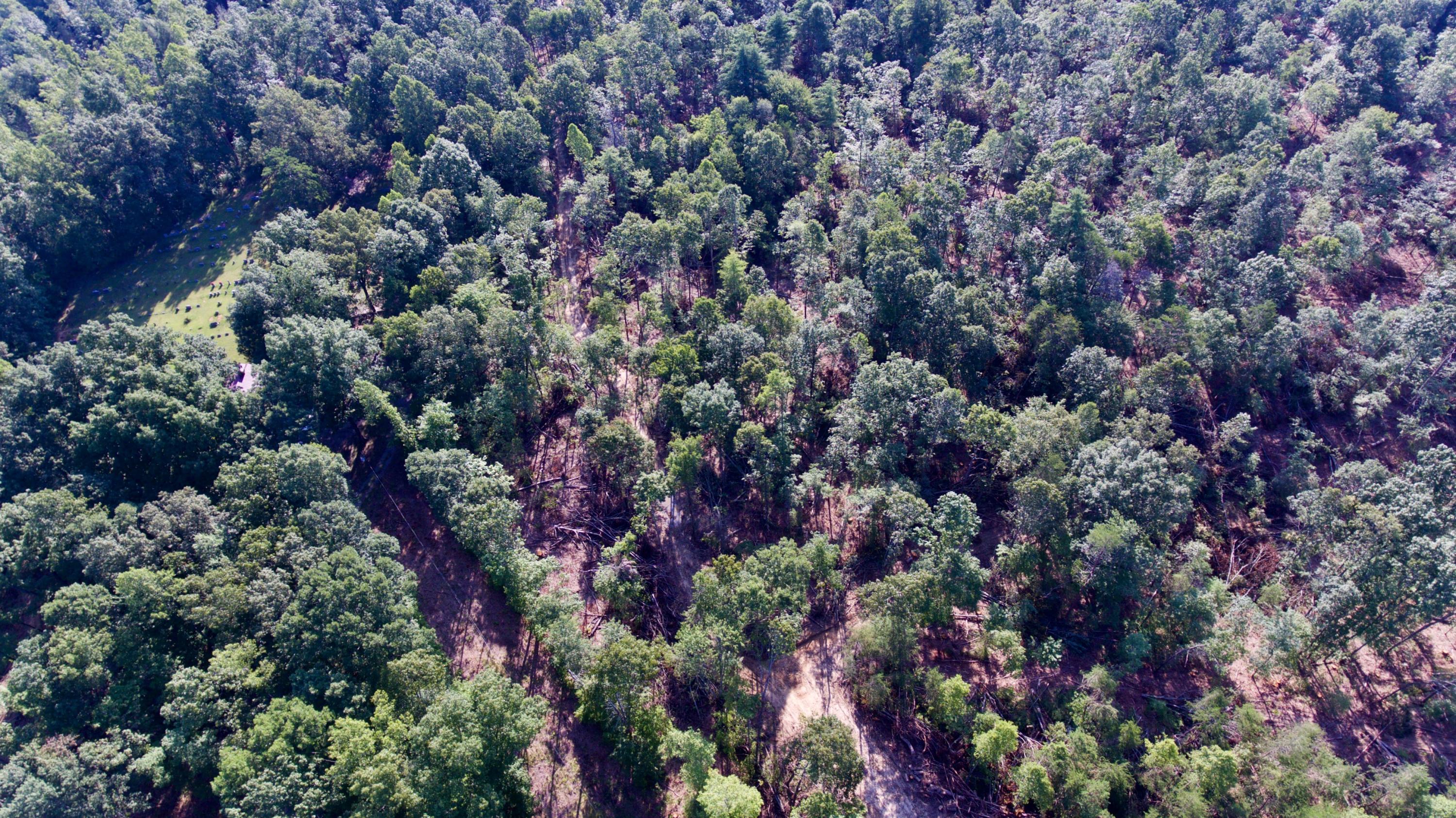 Adams Hill Deer Lodge, TN 37726 - Photo 32 of 40 DJI_0013