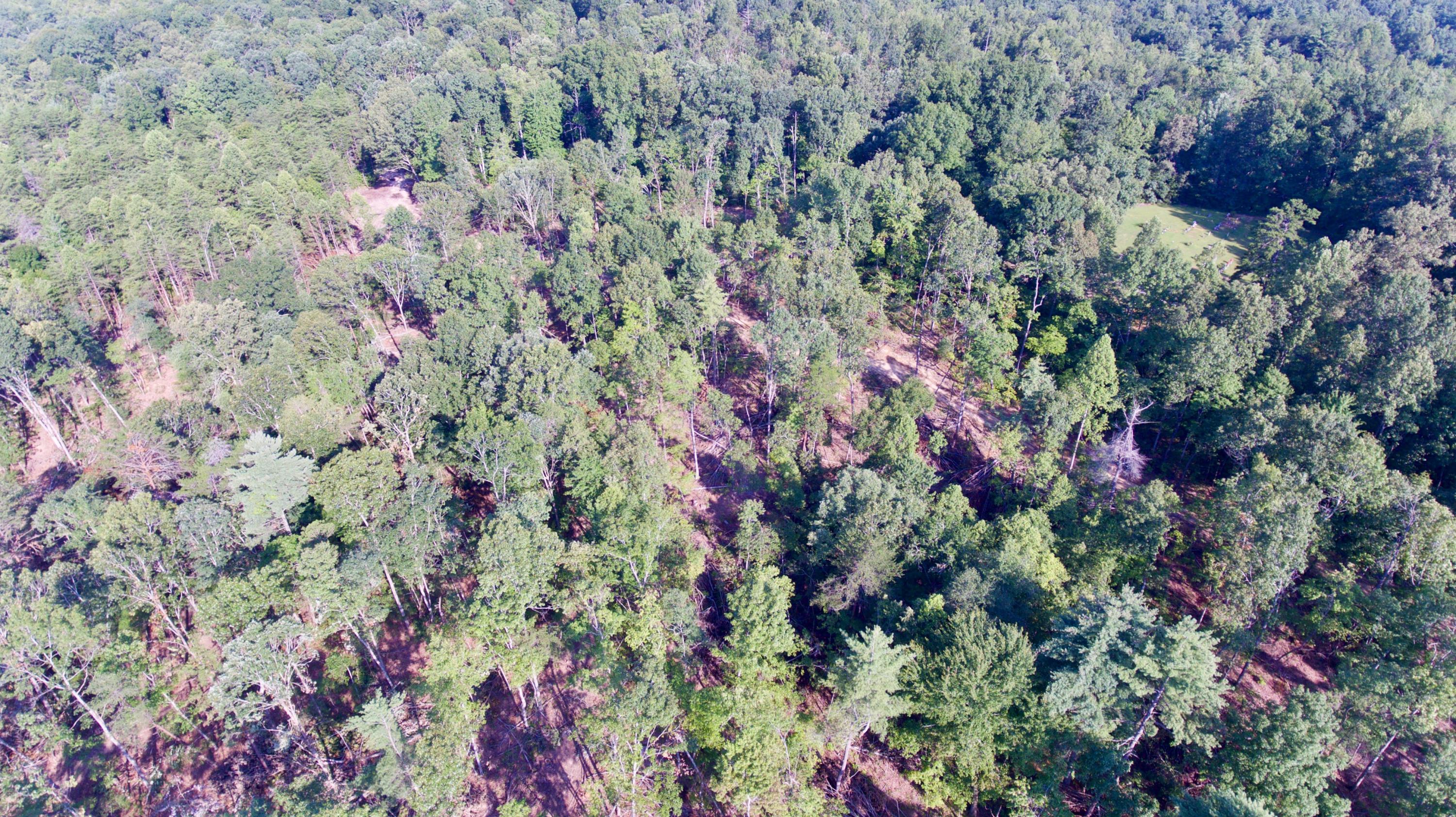 Adams Hill Deer Lodge, TN 37726 - Photo 33 of 40 DJI_0015