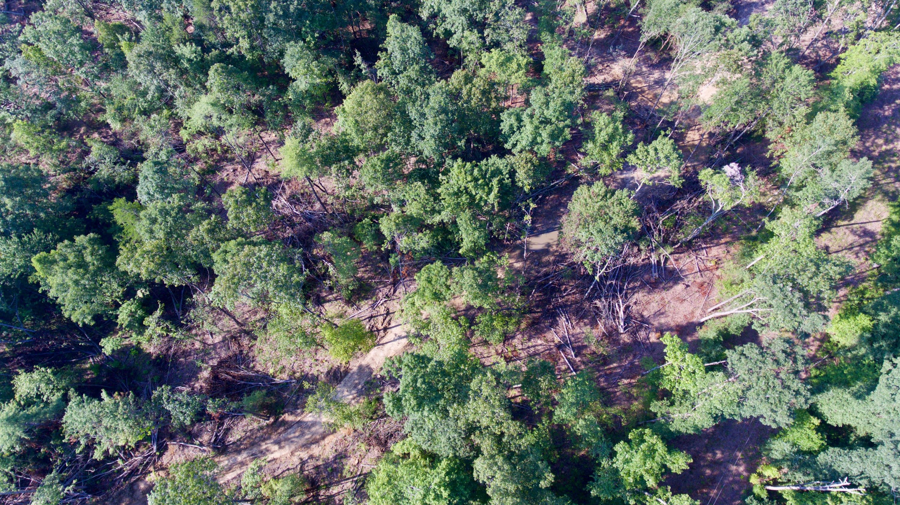 Adams Hill Deer Lodge, TN 37726 - Photo 35 of 40 DJI_0019