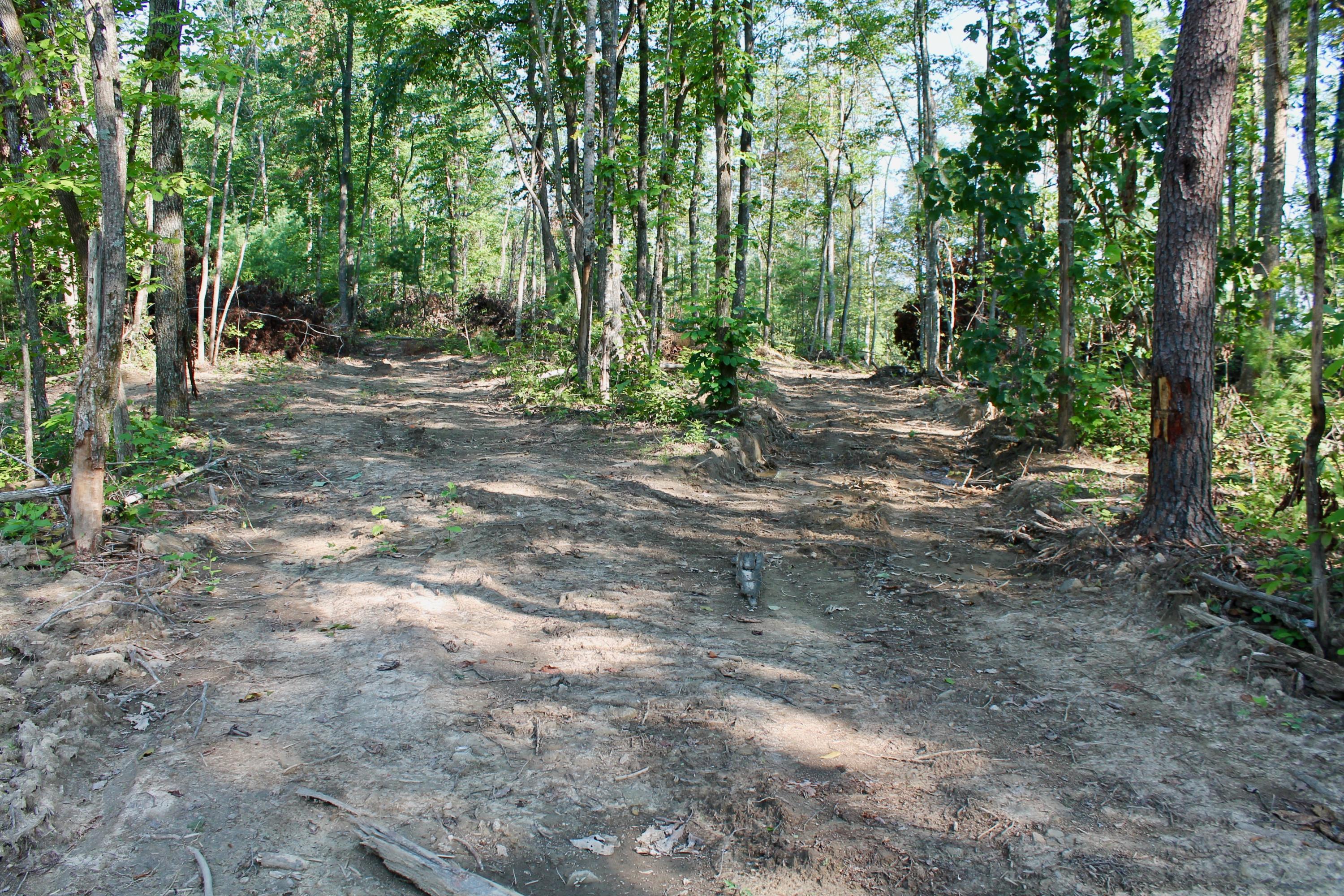 Adams Hill Deer Lodge, TN 37726 - Photo 7 of 40 7
