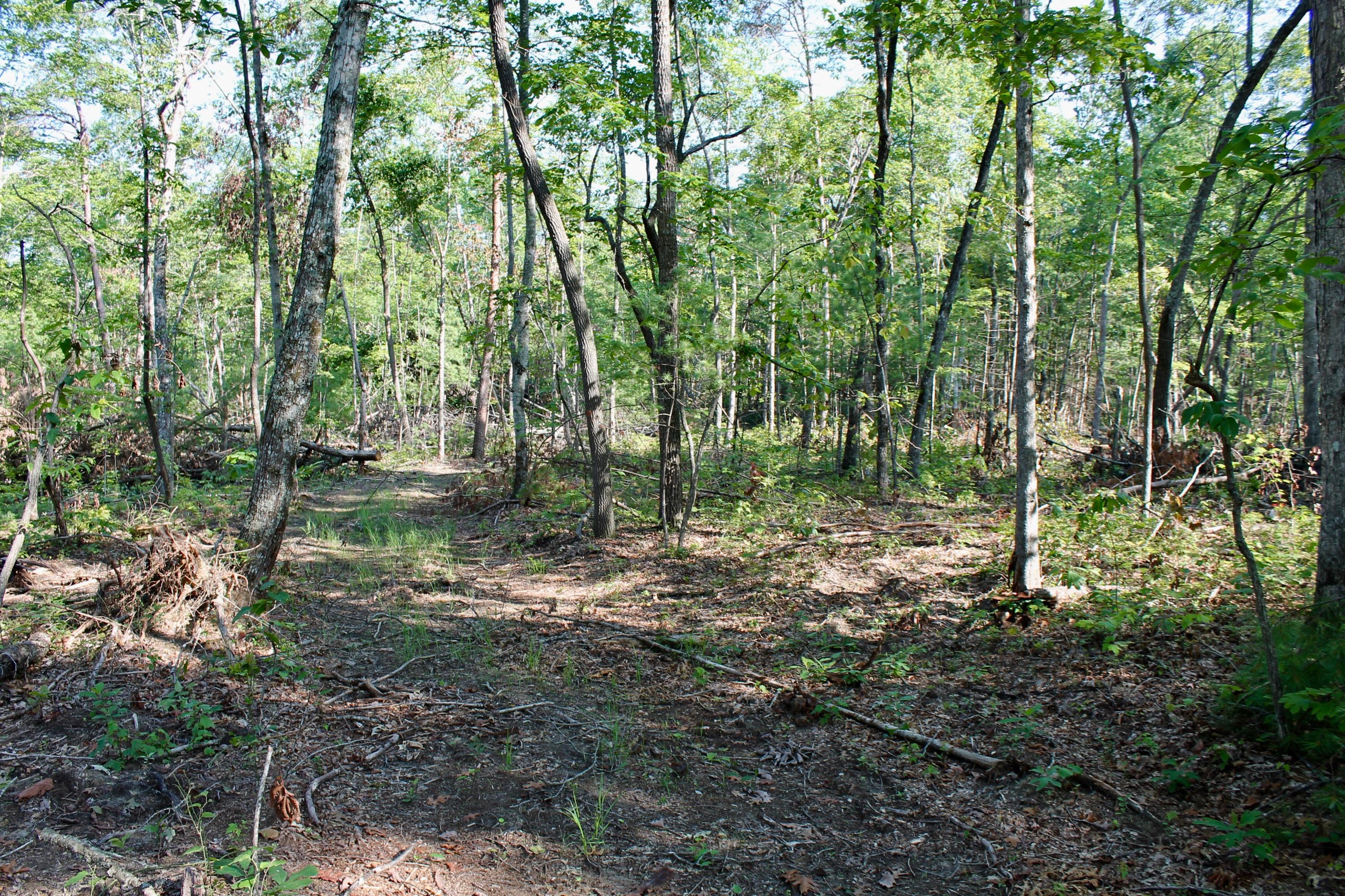 Adams Hill Deer Lodge, TN 37726 - Photo 10 of 40 10