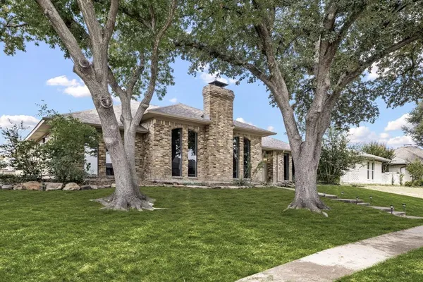 a large tree in middle of the garden