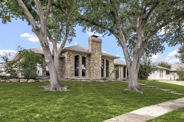 a large tree in middle of the garden