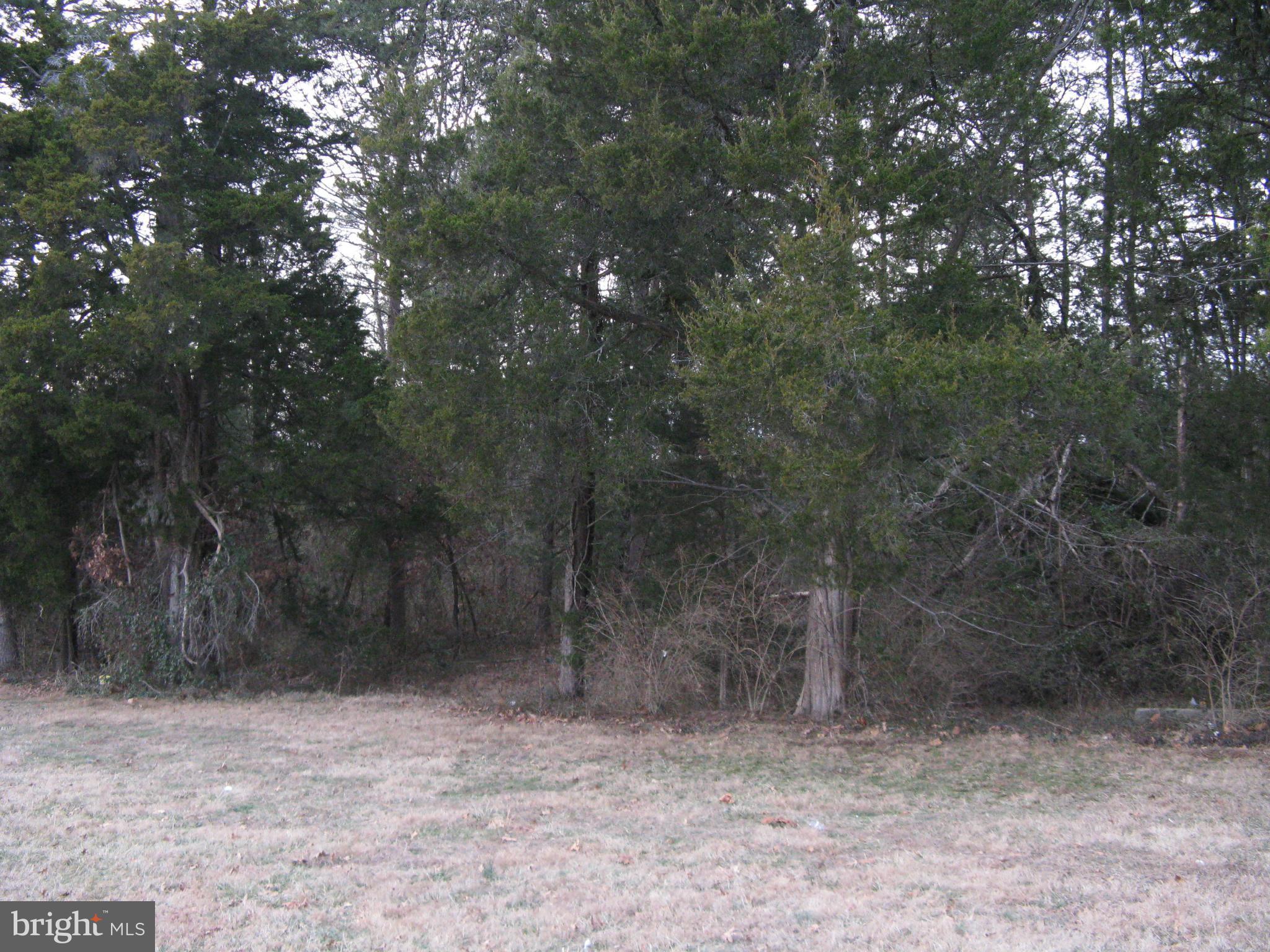 26 Courthouse Road Catlett, VA 20119 - Photo 3 of 9 View