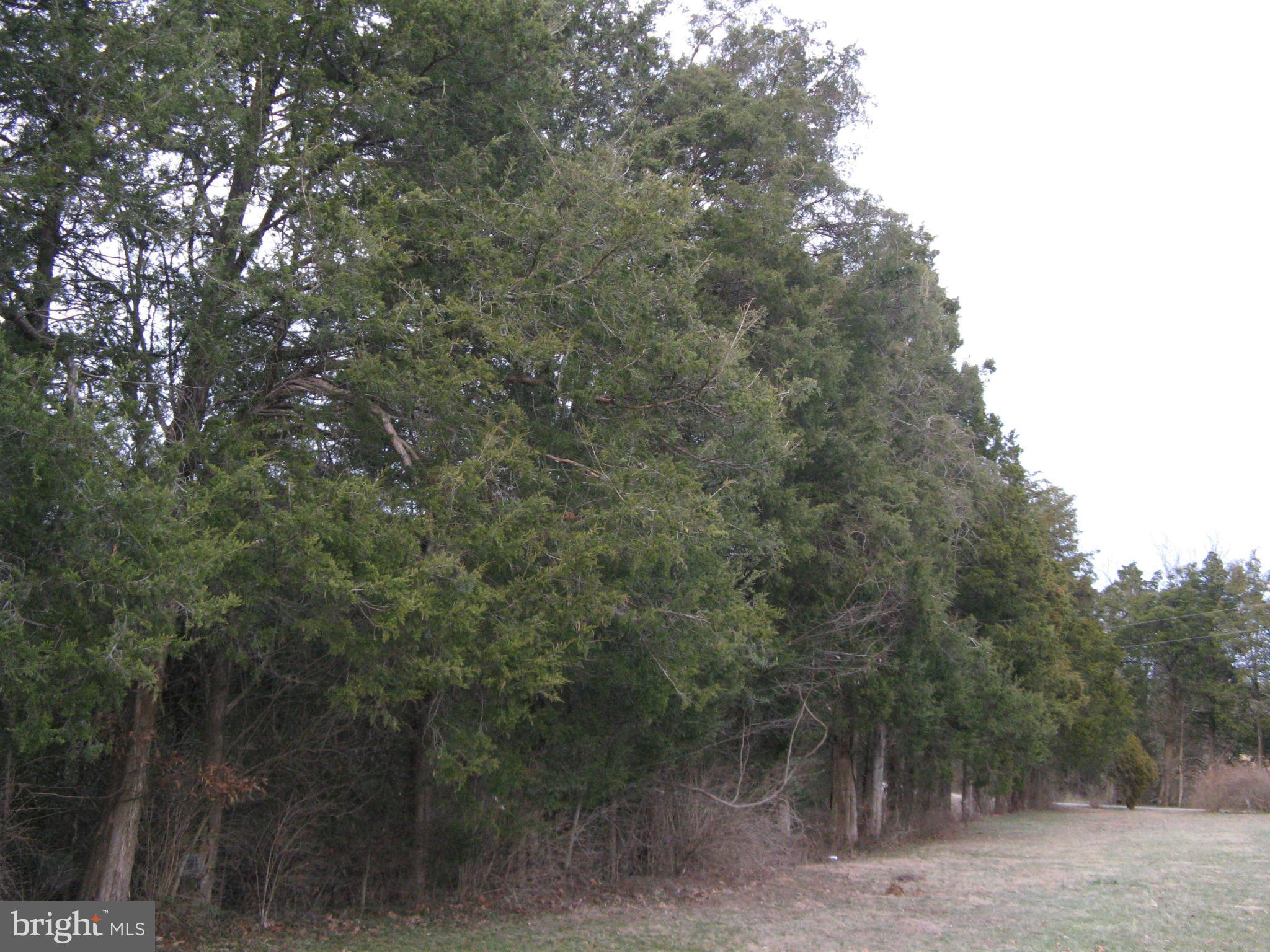 26 Courthouse Road Catlett, VA 20119 - Photo 5 of 9 View