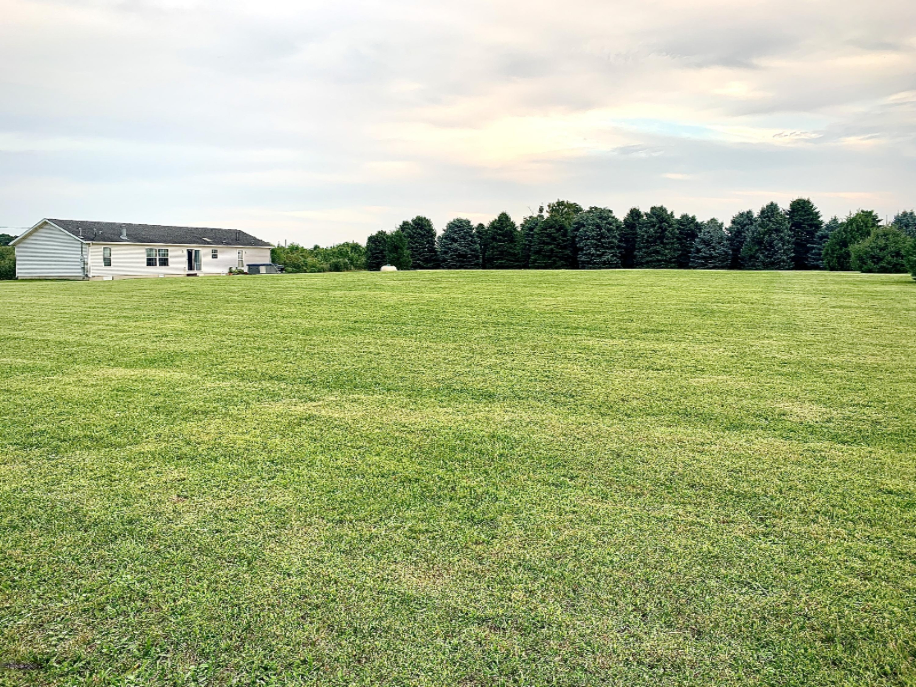 52992 Garret Road Dowagiac, MI 49047 - Photo 37 of 45 IMG_6551