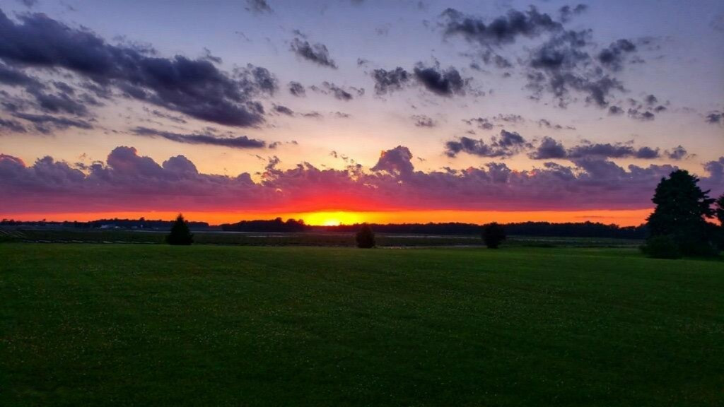 52992 Garret Road Dowagiac, MI 49047 - Photo 41 of 45 IMG_6569