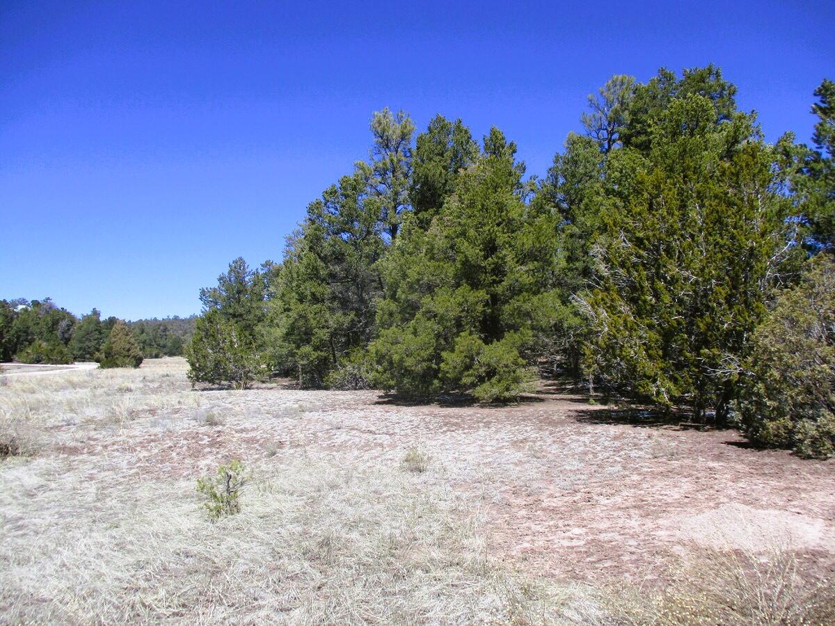 Lot 5 Copperweed Road Ramah, NM 87321 - Photo 24 of 88 Gallery Image 24