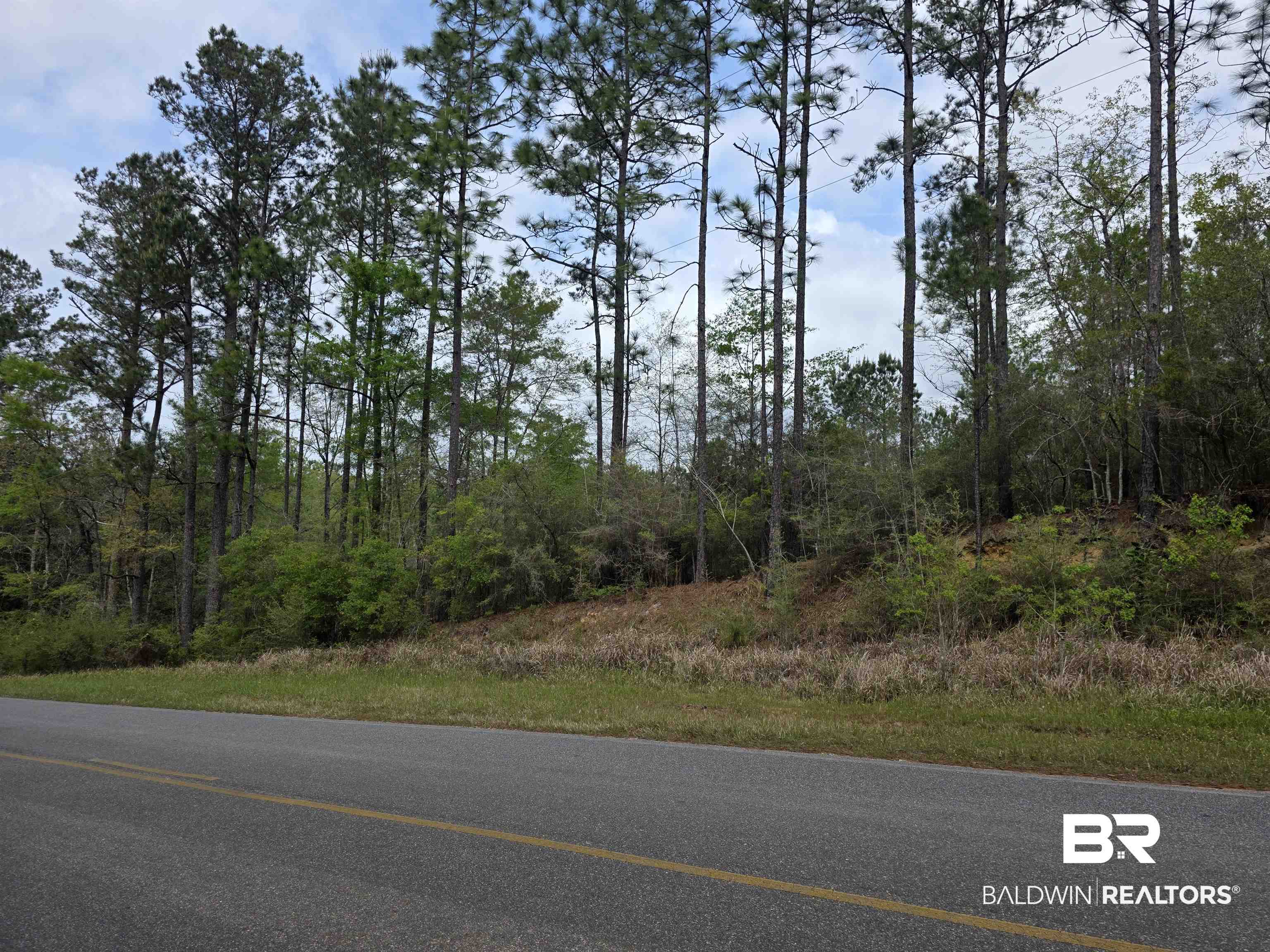 12185 Red Hill Rd Extension Bay Minette, AL 36507 - Photo 6 of 6 View of asphalt road