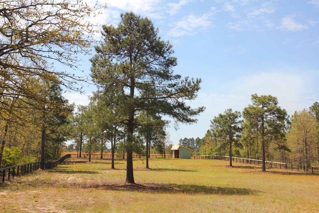 128 Pearl Bonnett Road Windsor, SC 29856 - Photo 6 of 8