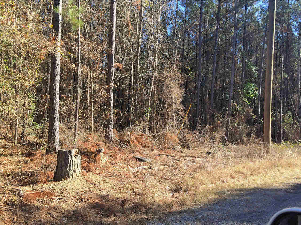 150 East Smith Road Mendenhall, MS 39114 - Photo 1 of 10 6.5 acres of young pine trees.