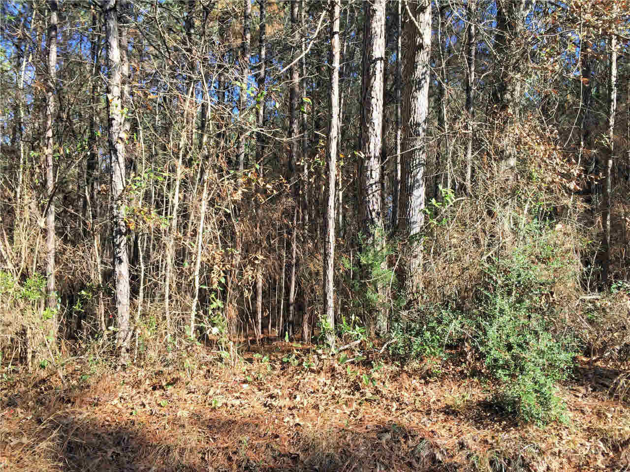 150 East Smith Road Mendenhall, MS 39114 - Photo 3 of 10 Photo 3