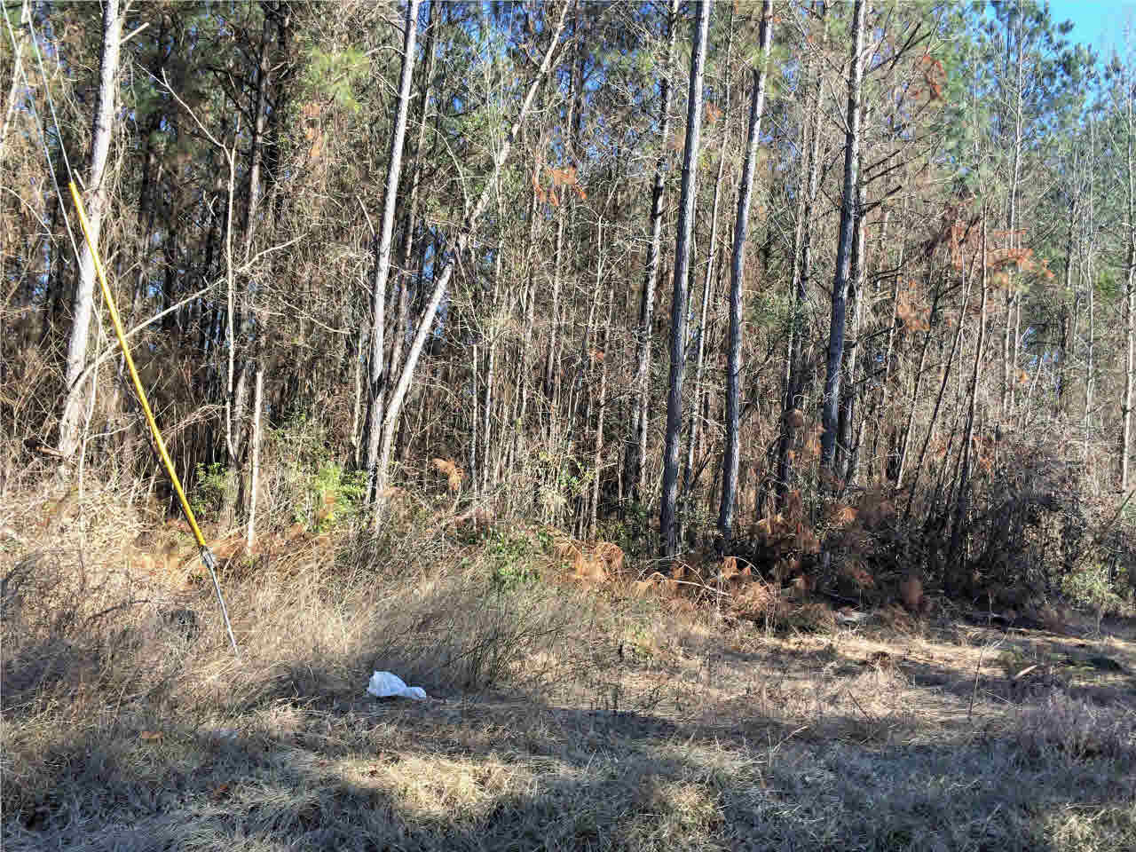 150 East Smith Road Mendenhall, MS 39114 - Photo 5 of 10 Photo 5