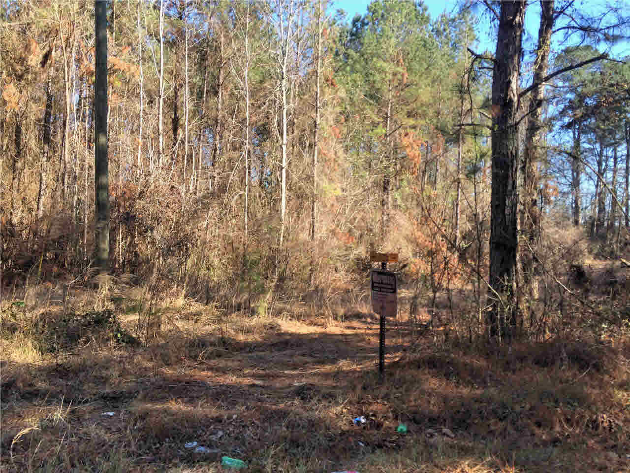 150 East Smith Road Mendenhall, MS 39114 - Photo 6 of 10 Photo 6