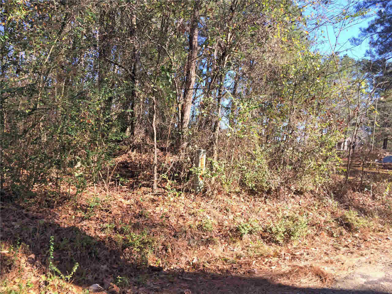 150 East Smith Road Mendenhall, MS 39114 - Photo 7 of 10 Photo 7