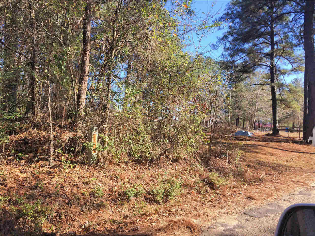 150 East Smith Road Mendenhall, MS 39114 - Photo 8 of 10 Photo 8