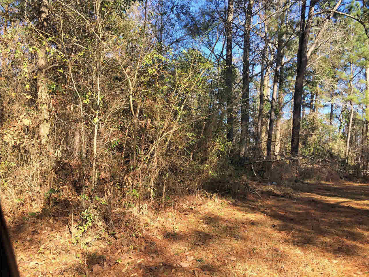 150 East Smith Road Mendenhall, MS 39114 - Photo 9 of 10 Photo 9