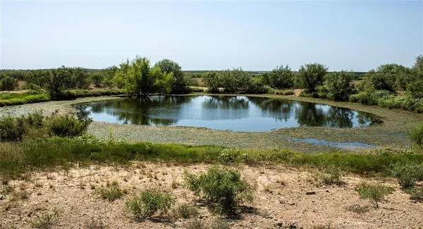 a view of a lake with houses in background