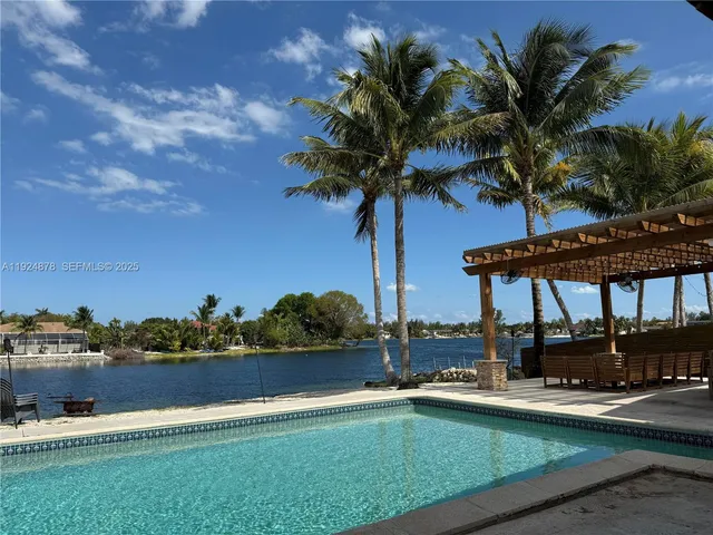 a lake view with a palm tree