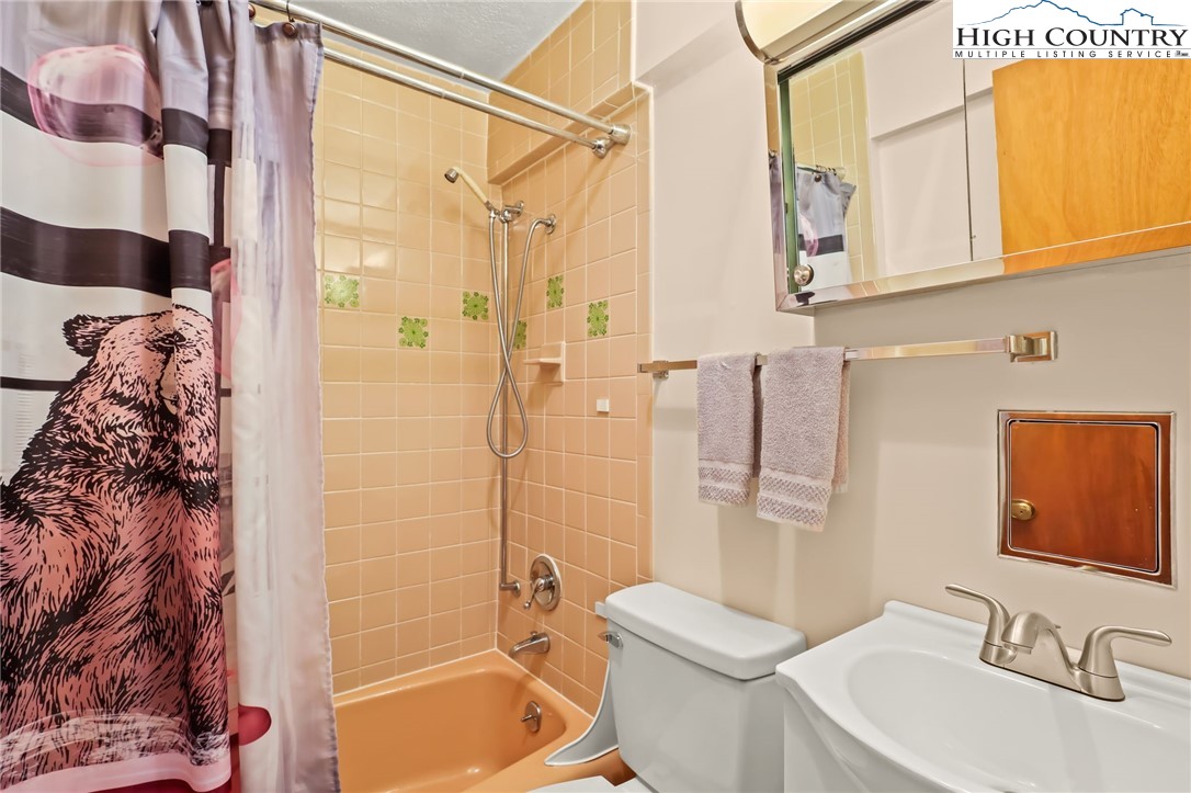 106 Pinnacle Ridge Road Beech Mountain, NC 28604 - Photo 23 of 28 a bathroom with a sink toilet and shower