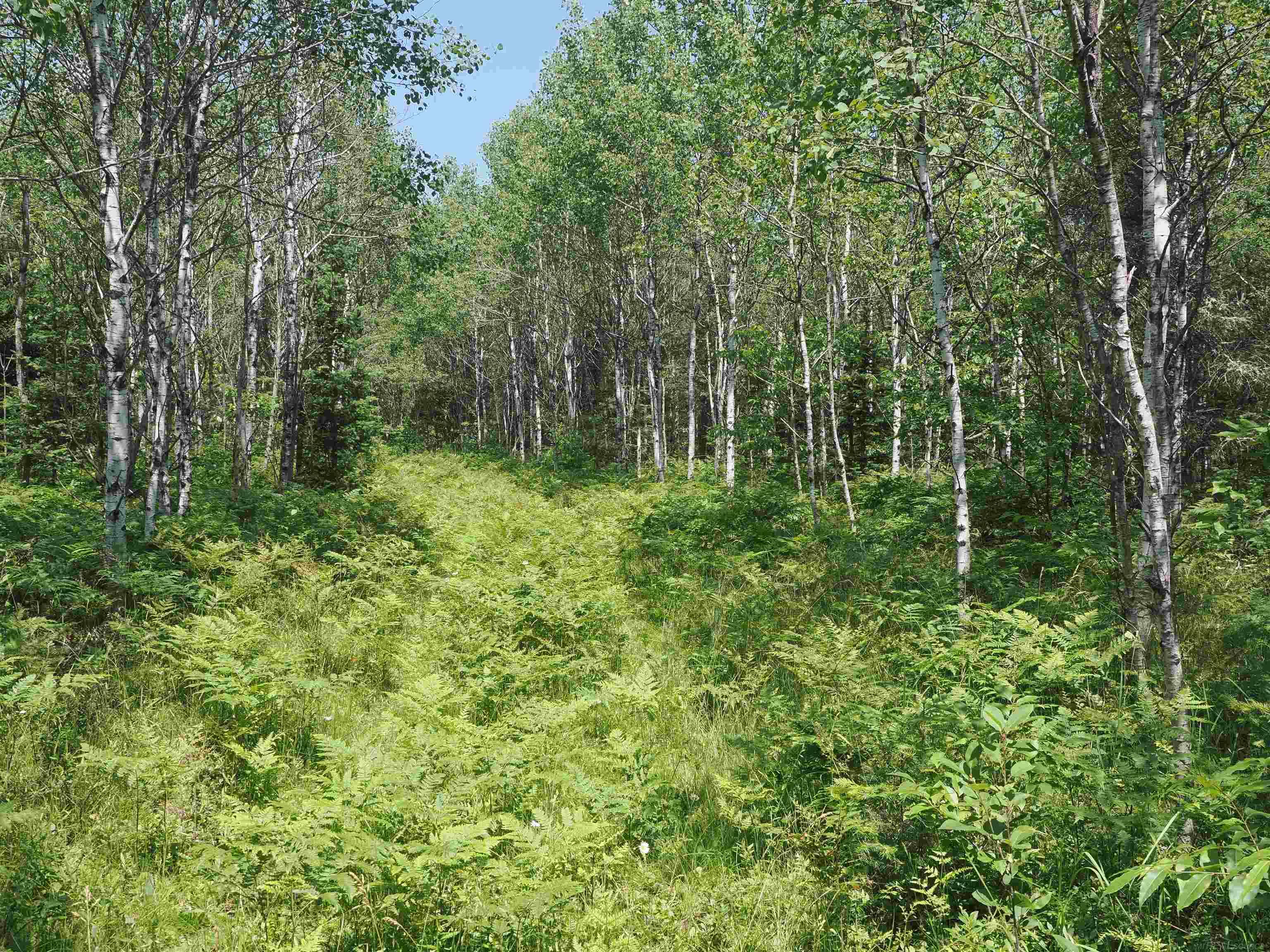 0 County Road Ishpeming, MI 49849 - Photo 7 of 85