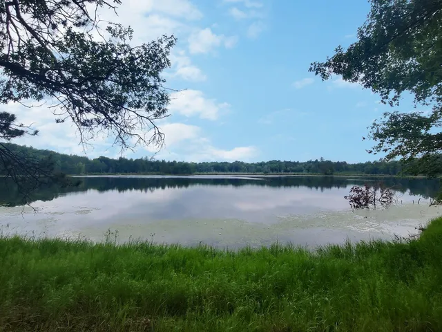 $650,000 | 4533 Warner Drive, Newbold, WI 54501