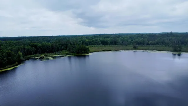 $650,000 | 4533 Warner Drive, Newbold, WI 54501