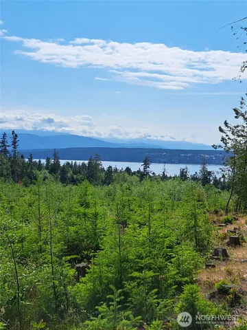 $265,000 | 9999 Protection Ridge Road, Port Townsend, WA 98368