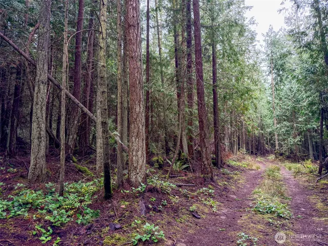 a view of outdoor space and garden