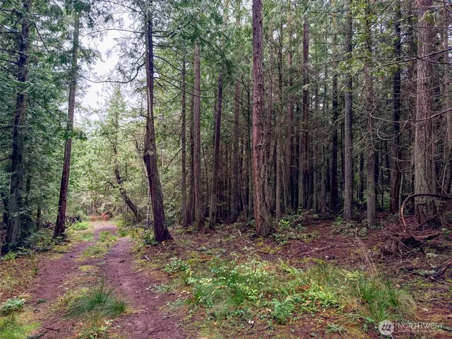 a view of outdoor space and green space