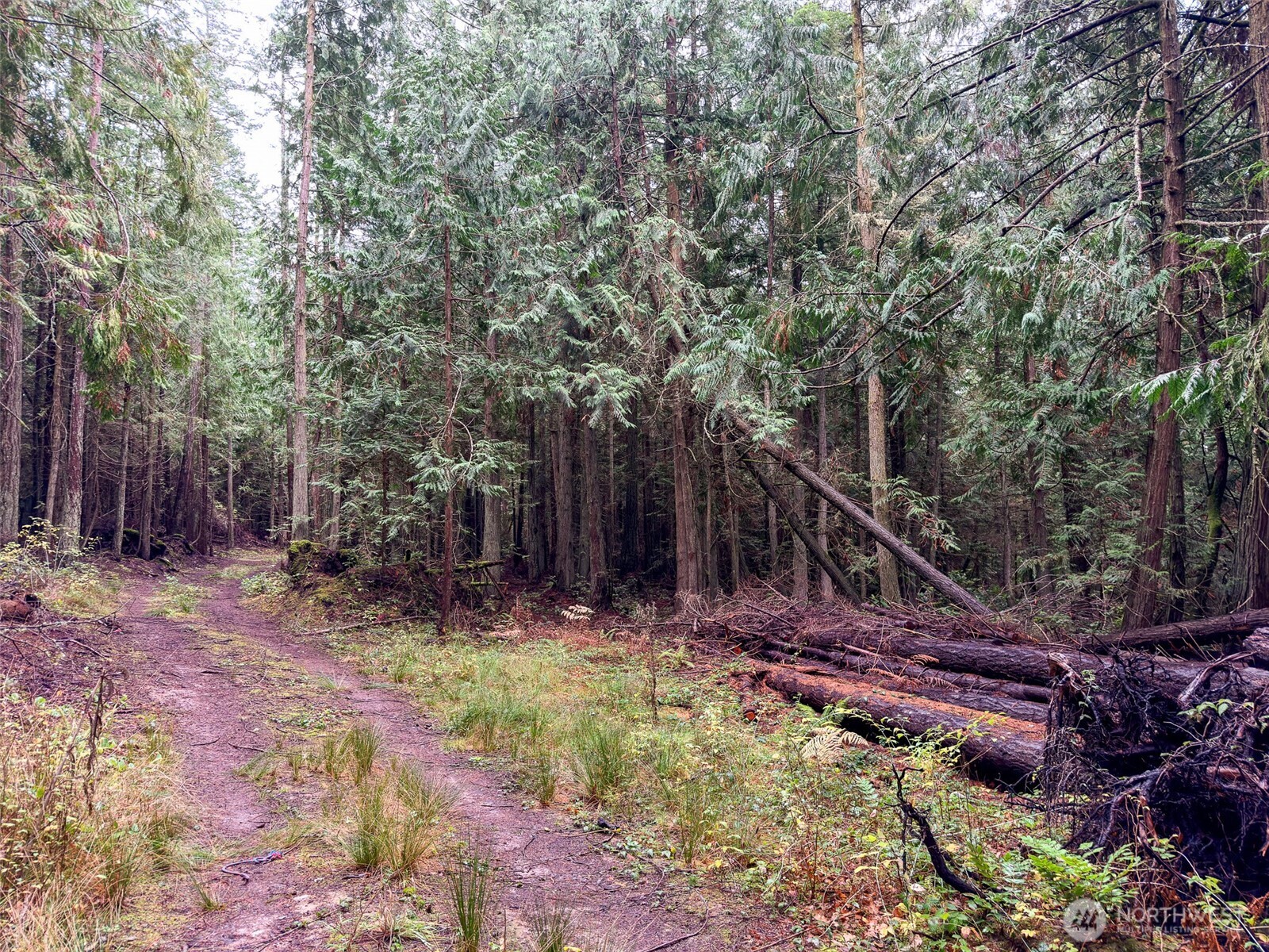 9999 Protection Ridge Road Port Townsend, WA 98368 - Photo 14 of 39 a view of outdoor space and yard