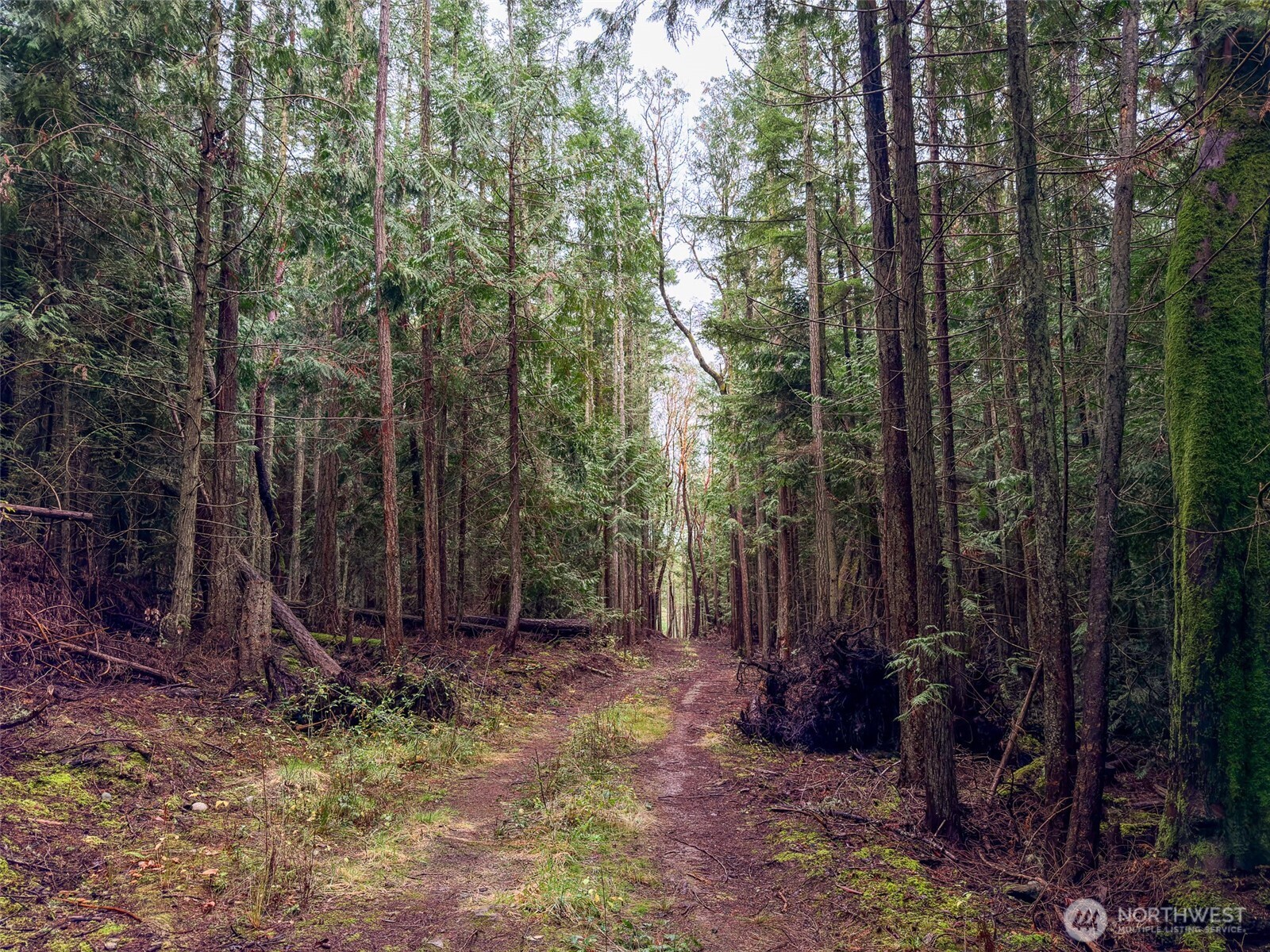 9999 Protection Ridge Road Port Townsend, WA 98368 - Photo 16 of 39 a view of outdoor space and green space