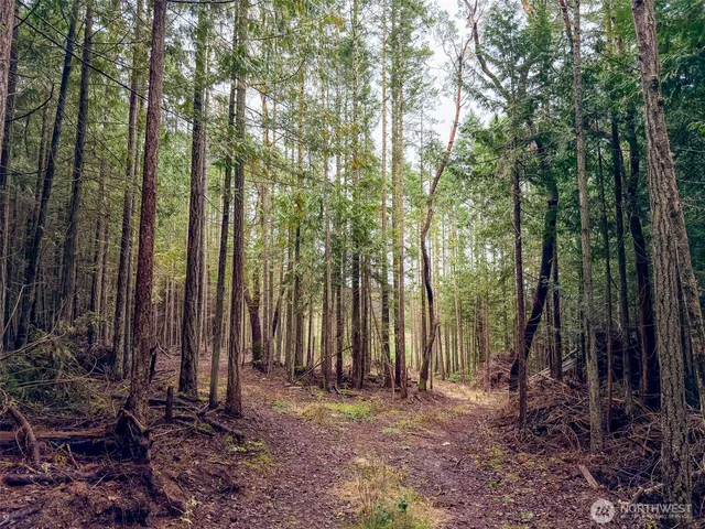 a backyard of a house with lots of trees