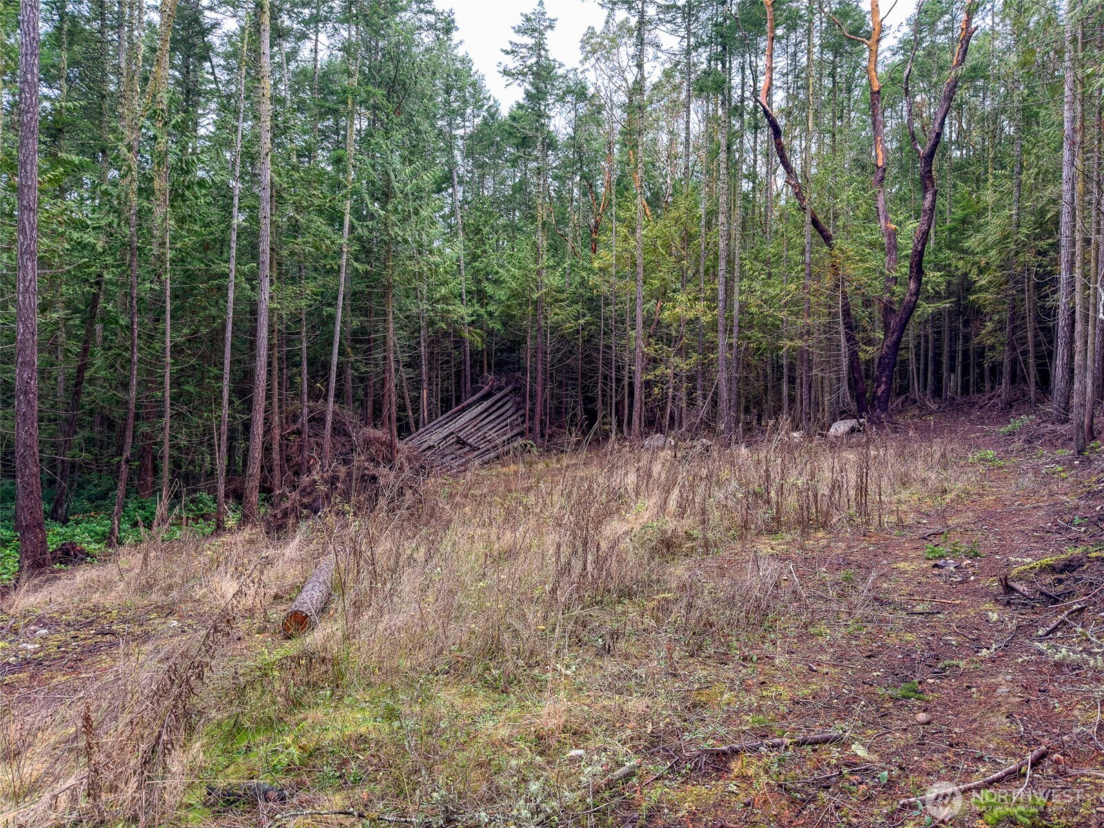 9999 Protection Ridge Road Port Townsend, WA 98368 - Photo 18 of 39 a view of outdoor space and green space