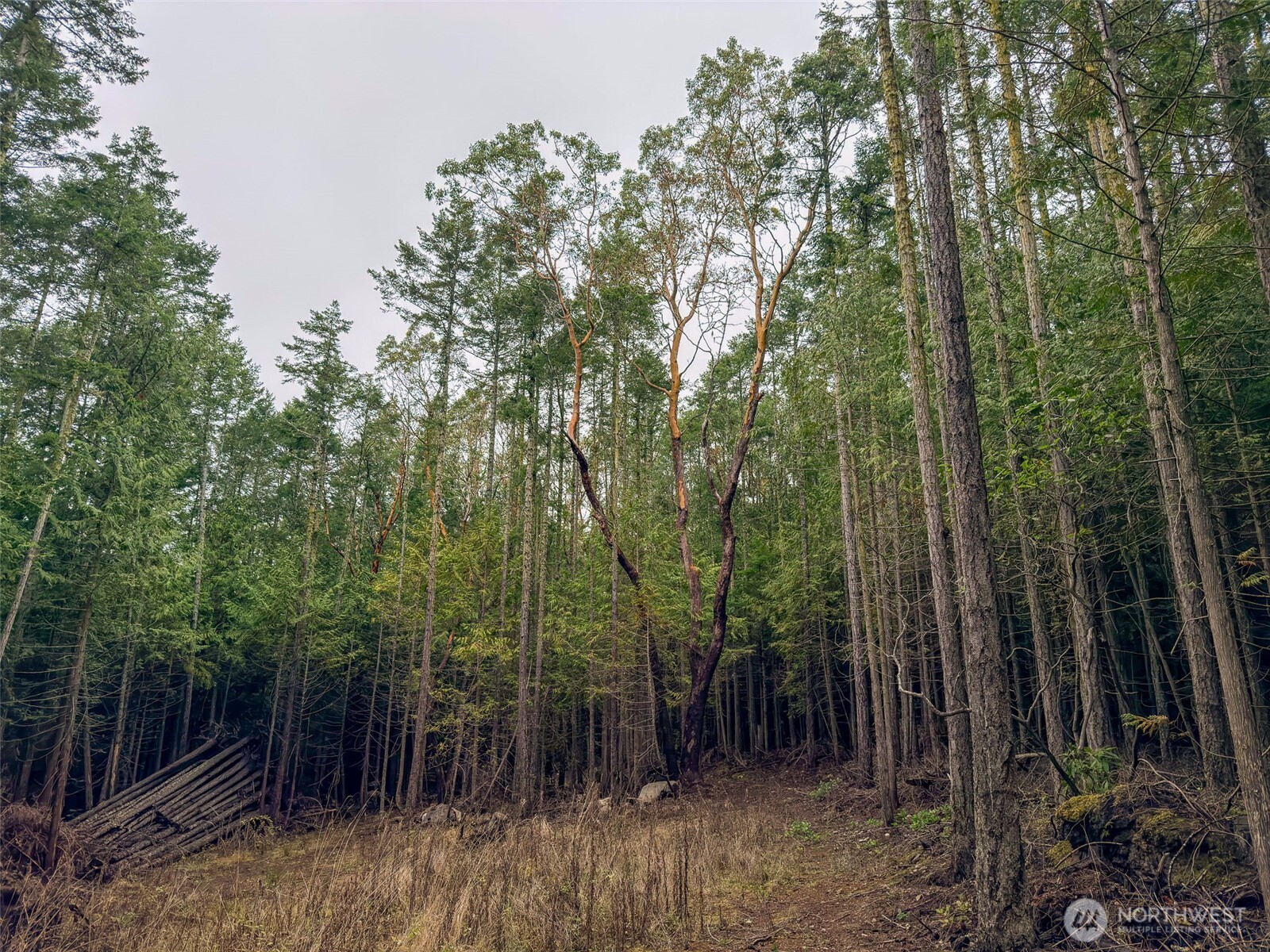 9999 Protection Ridge Road Port Townsend, WA 98368 - Photo 20 of 39 a view of an outdoor space with green space