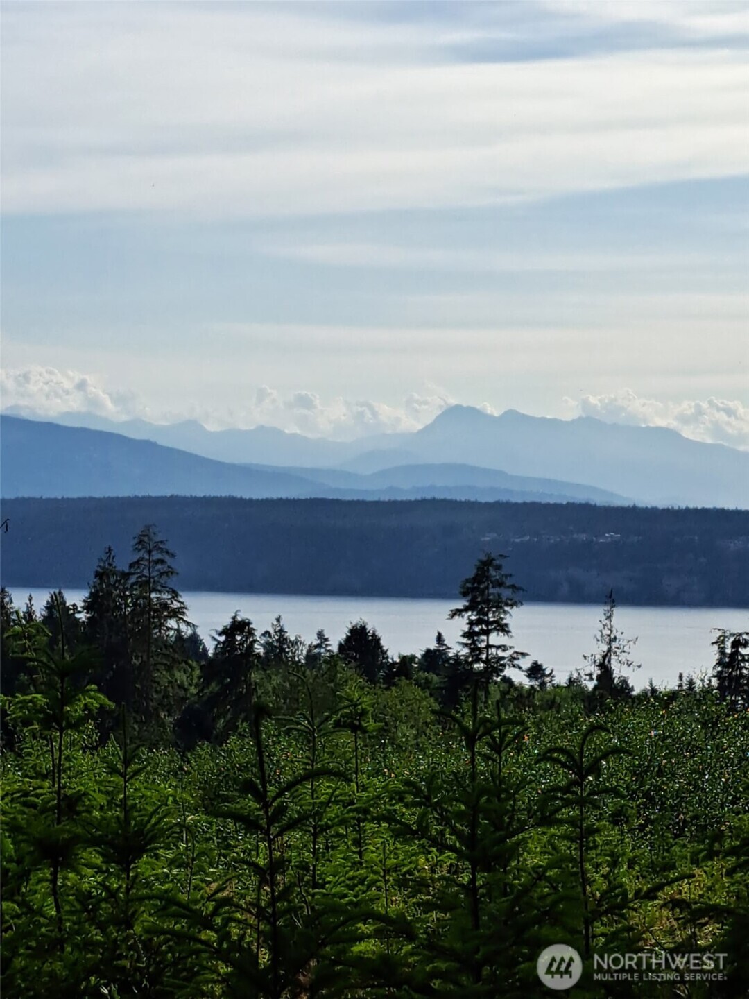 9999 Protection Ridge Road Port Townsend, WA 98368 - Photo 2 of 39 an aerial view of a city with lots of residential buildings and mountain view in back