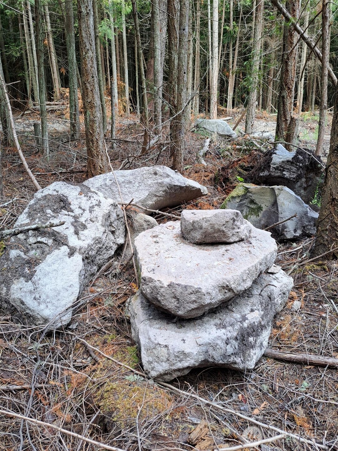 9999 Protection Ridge Road Port Townsend, WA 98368 - Photo 22 of 39 a view of a house with a yard fire pit and outdoor space