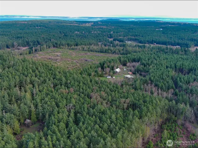 a view of a city with lush green forest
