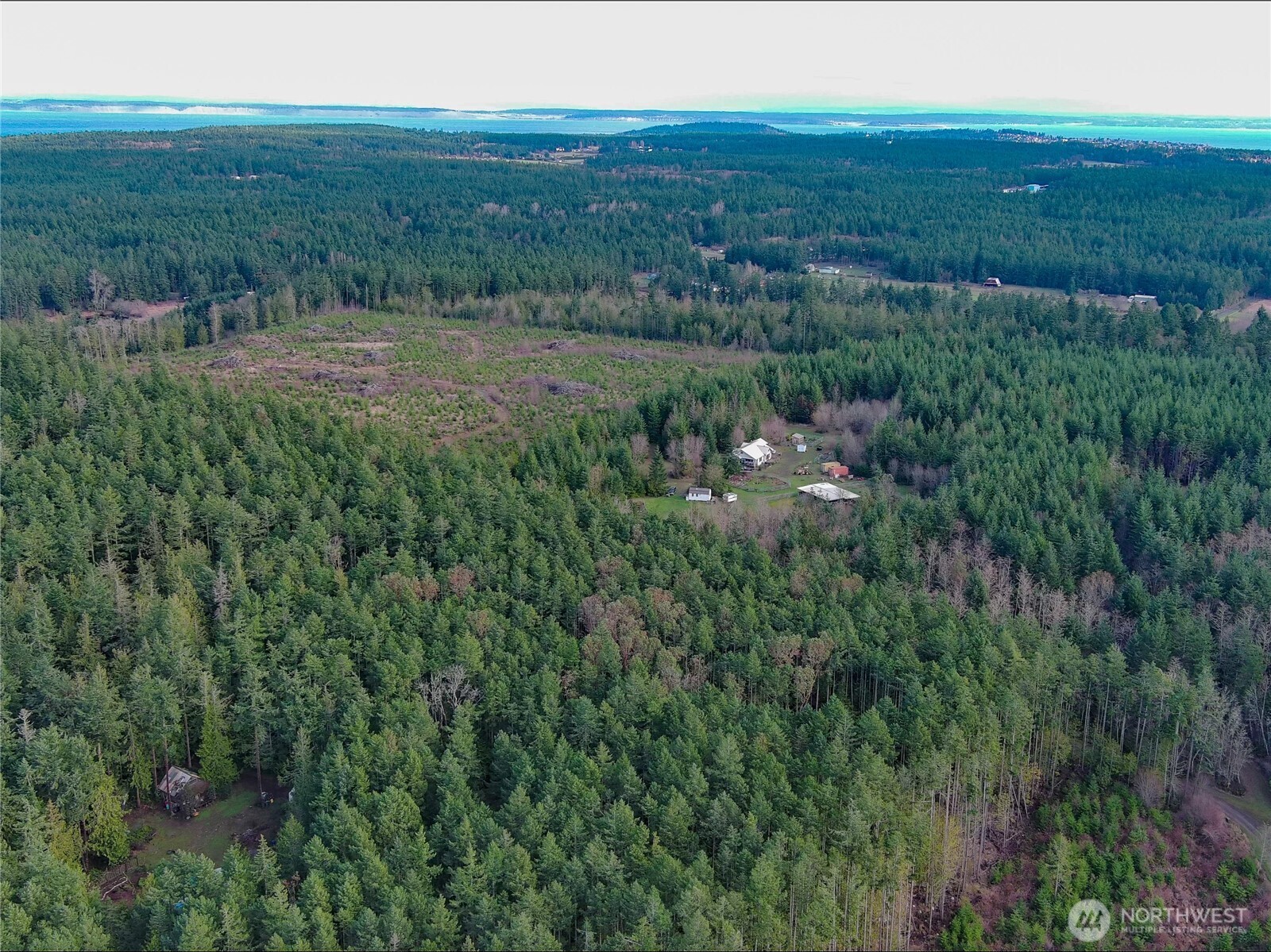 9999 Protection Ridge Road Port Townsend, WA 98368 - Photo 25 of 39 a view of a city with lush green forest