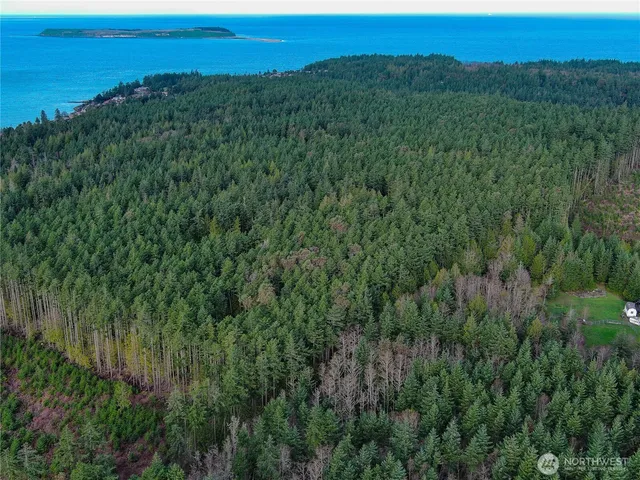 a view of city and mountain