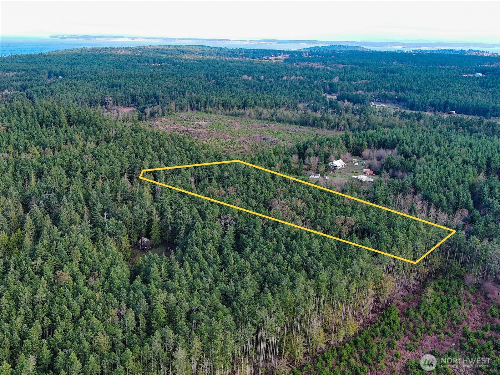 9999 Protection Ridge Road Port Townsend, WA 98368 - Photo 30 of 39 a view of a forest with a street view