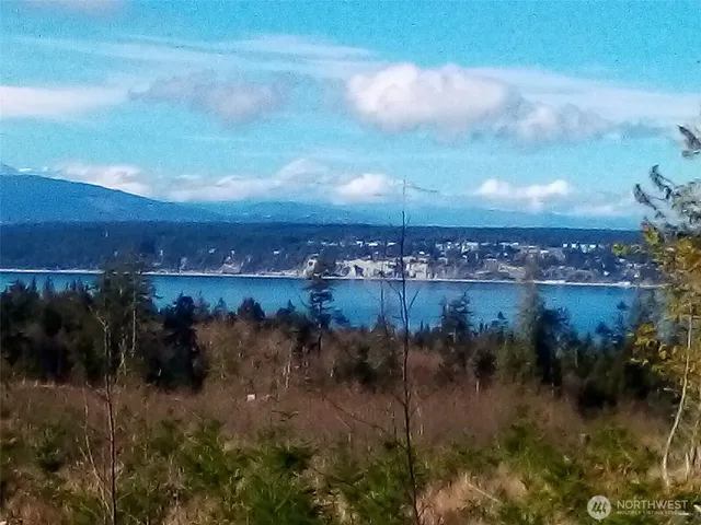 a view of a lake in middle of forest