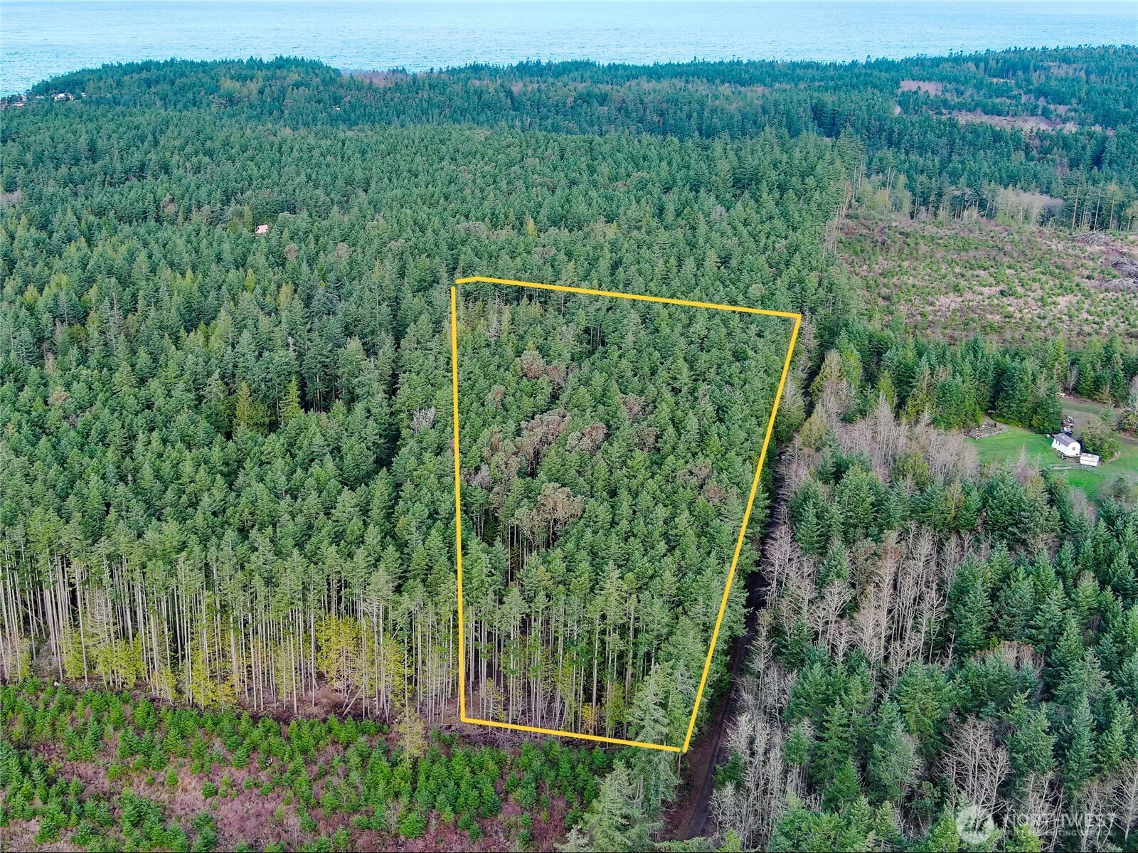 9999 Protection Ridge Road Port Townsend, WA 98368 - Photo 31 of 39 a view of a lush green forest with a lake