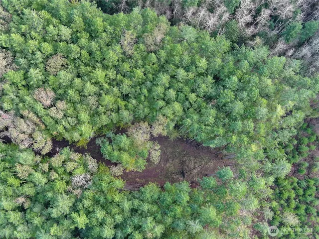 an aerial view of residential house with outdoor space and trees all around