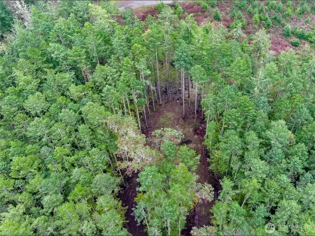 a view of a garden with plants and brick walls