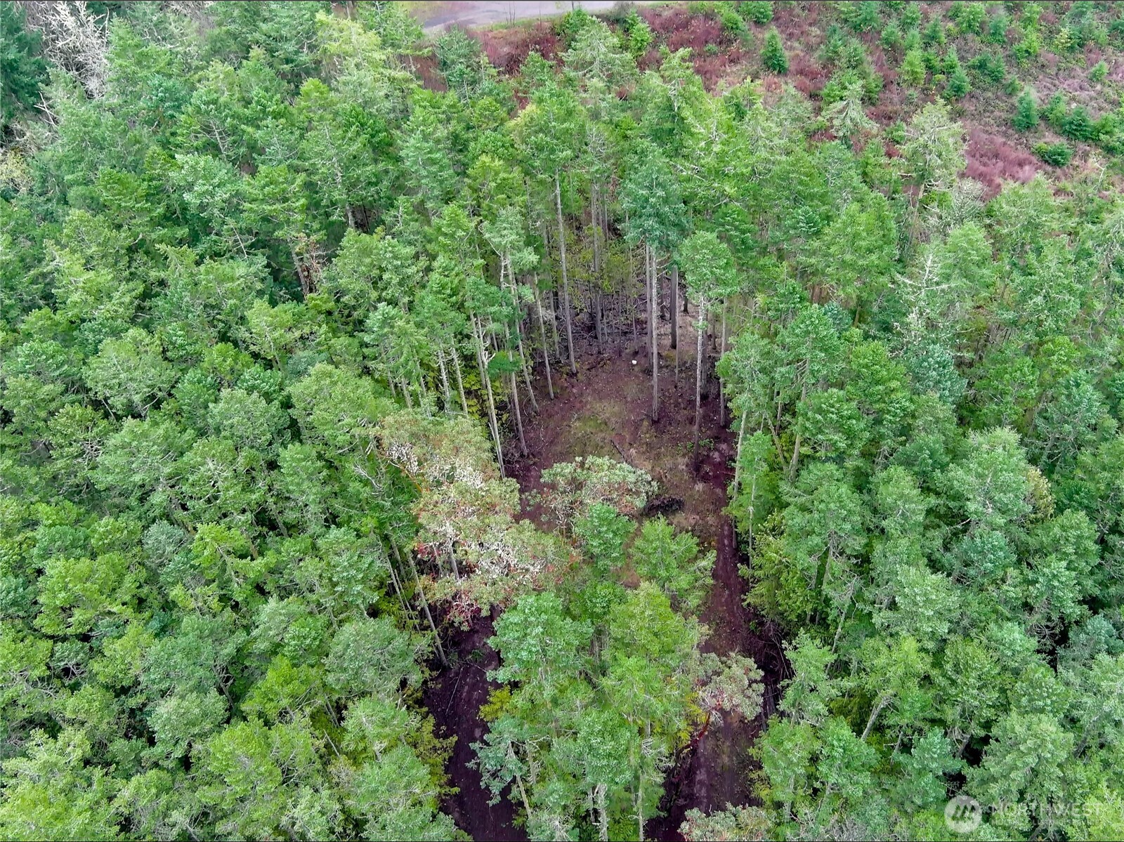 9999 Protection Ridge Road Port Townsend, WA 98368 - Photo 34 of 39 an aerial view of residential house with outdoor space and trees all around