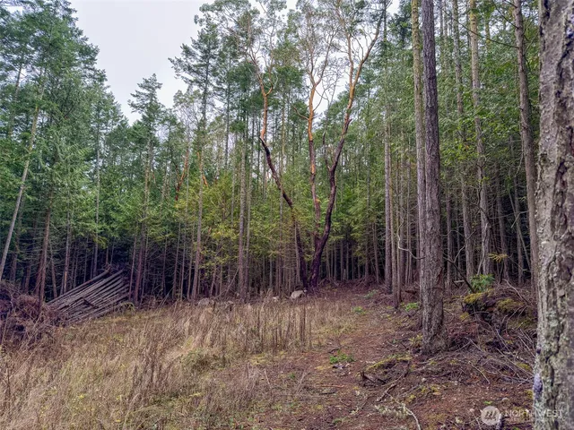 a view of an outdoor space with green space
